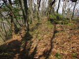 陸奥 鴫山城の写真