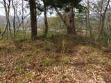 陸奥 鴫山城の写真