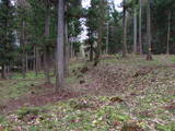 陸奥 鴫山城の写真