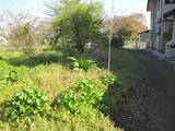 陸奥 下荒居城の写真