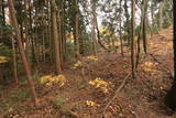 陸奥 新地山館の写真