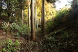 陸奥 塩野田館の写真