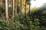 陸奥 塩野田館の写真