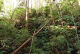 陸奥 白土城の写真
