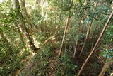 陸奥 白土城の写真
