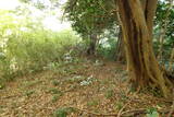 陸奥 白土城の写真