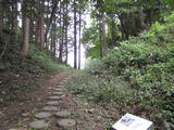 陸奥 白鳥館の写真
