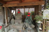 陸奥 白石城の写真