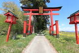 陸奥 陣ケ岡(紫波町)の写真