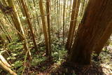 陸奥 朝日館(南三陸町)の写真