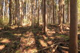 陸奥 大館(雫石町)の写真