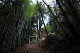 陸奥 住吉山城の写真