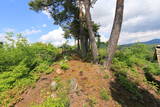 陸奥 住吉山城の写真