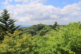 陸奥 住吉山城の写真