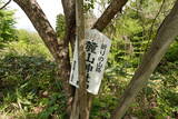 陸奥 雀林城の写真