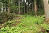 陸奥 田手岡館の写真