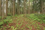 陸奥 田手岡館の写真