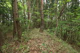 陸奥 田小屋館の写真