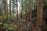 陸奥 大平館の写真