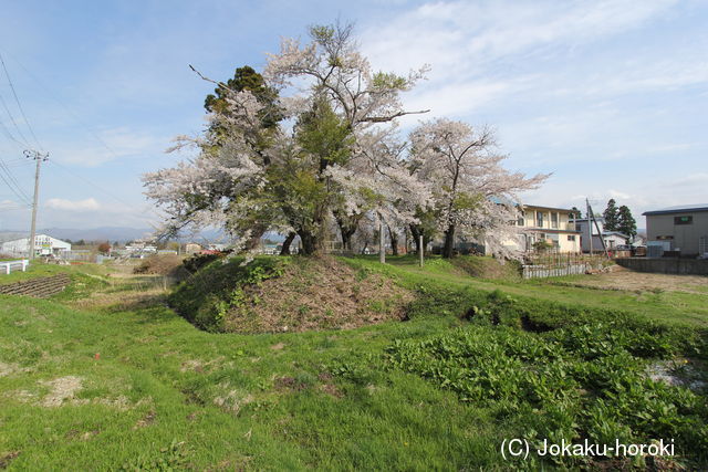 陸奥 高田城の写真