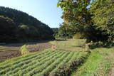 陸奥 滝尻城(山城)の写真