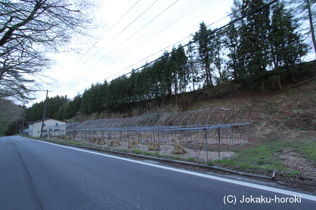 陸奥 馬場館(田子町)の写真