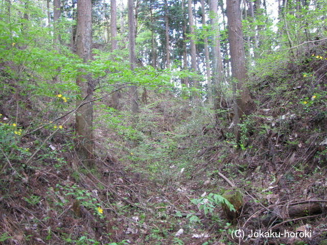 陸奥 赤館(棚倉町)の写真