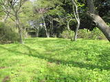 陸奥 赤館(棚倉町)の写真