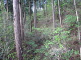 陸奥 赤館(棚倉町)の写真