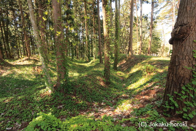 陸奥 寺林城の写真