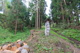 陸奥 寺田城の写真