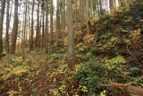 陸奥 寺山館の写真