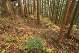 陸奥 寺山館の写真