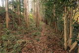 陸奥 寺山館の写真