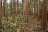 陸奥 寺山館の写真