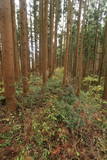 陸奥 寺山館の写真