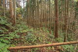 陸奥 寺山館の写真