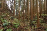 陸奥 寺山館の写真