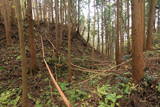 陸奥 寺山館の写真