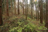 陸奥 寺山館の写真