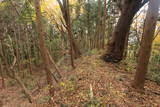 陸奥 寺山館の写真