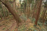 陸奥 寺山館の写真