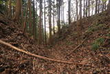 陸奥 寺山館の写真