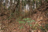 陸奥 寺山館の写真