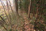 陸奥 寺山館の写真