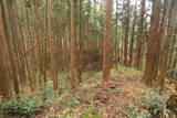 陸奥 寺山館の写真