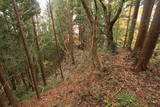 陸奥 寺山館の写真