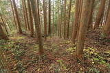 陸奥 寺山館の写真