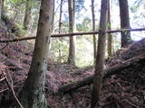 陸奥 寺山館の写真