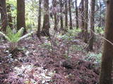 陸奥 寺山館の写真